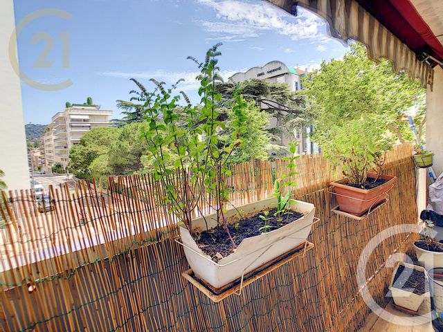 Afficher la photo en grand Appartement F2 à vendre - 2 pièces - 49.16 m2 - CANNES - 06 - PROVENCE-ALPES-COTE-D-AZUR - Century 21 Immobilier Service