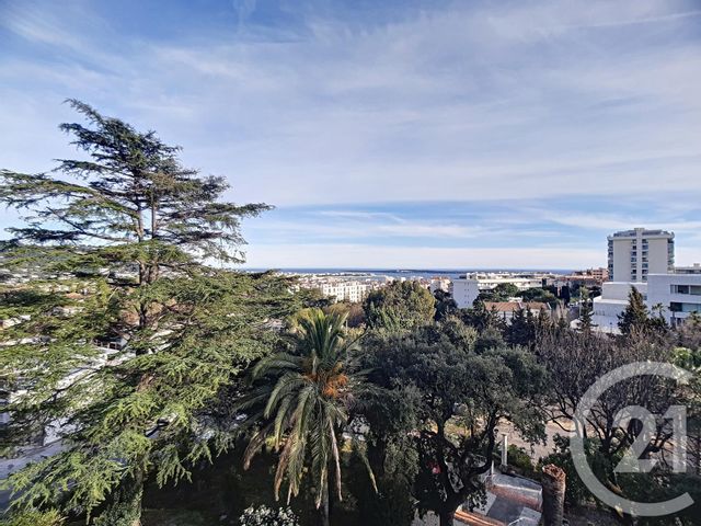 appartement - CANNES - 06