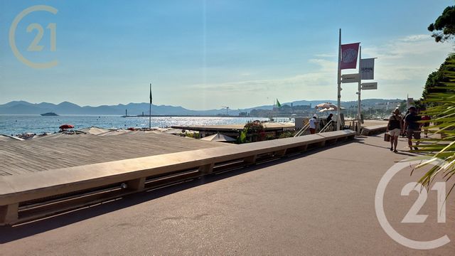 appartement - CANNES - 06